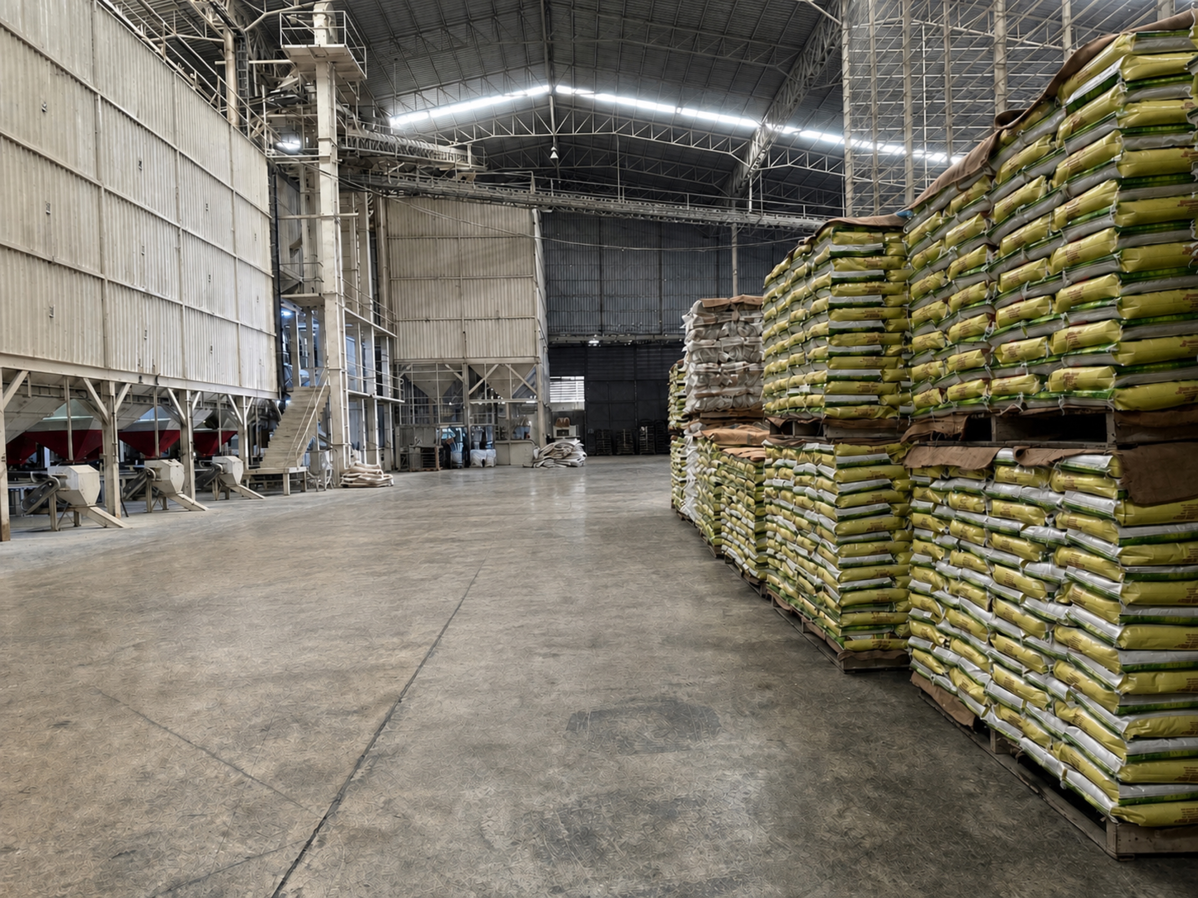 Rice-processing machinery and rice pallets in the production warehouse